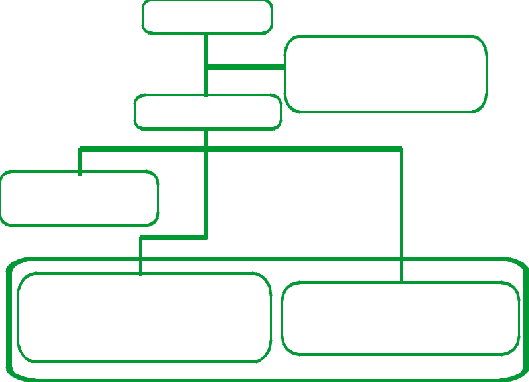 Ey Organizational Chart